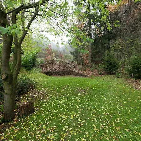 1 Bedroom Feriehus Bad Grund